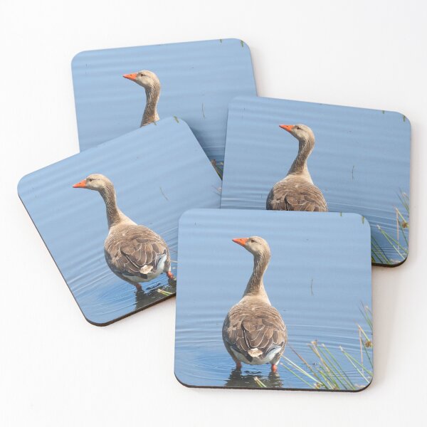 Item preview, Greylag Goose designed and sold by boux.