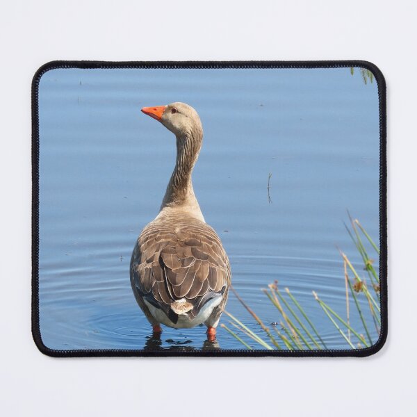 Item preview, Greylag Goose designed and sold by boux.