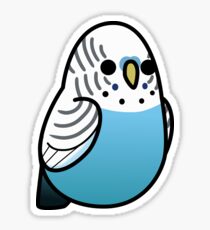 Too Many Birds! - Blue Budgie Sticker