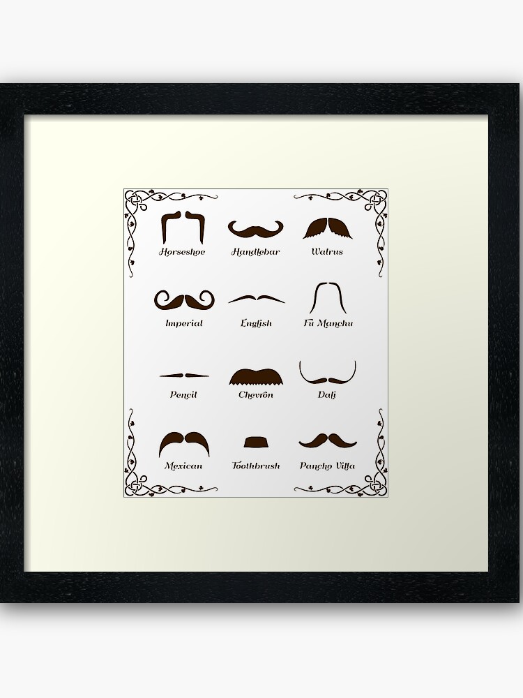 Moustache Chart