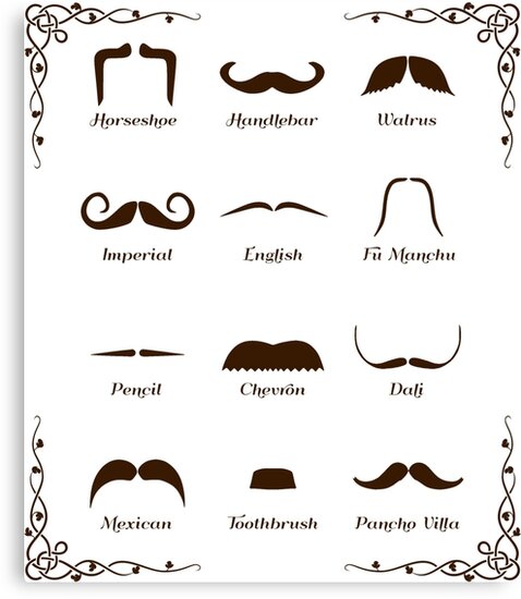 Mustache Style Chart