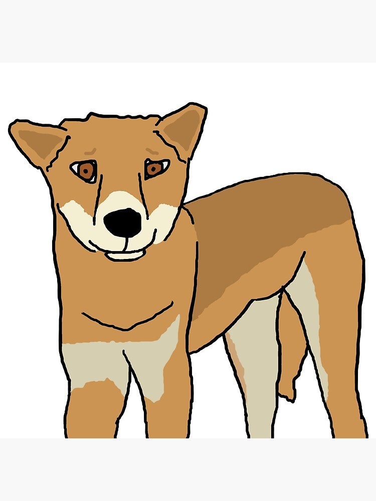 Cartoon dingo 2024