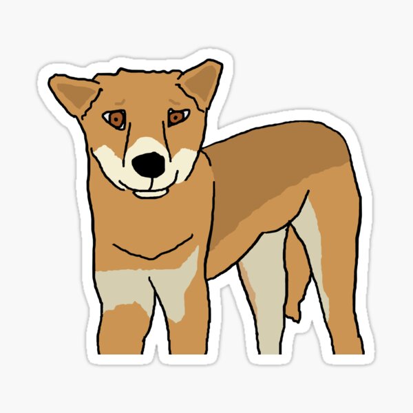 Amazing Dingo Cartoon Art Board Print for Sale by KJCasey1982 Redbubble