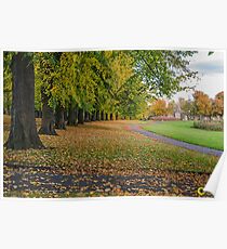 Autumn trees Poster