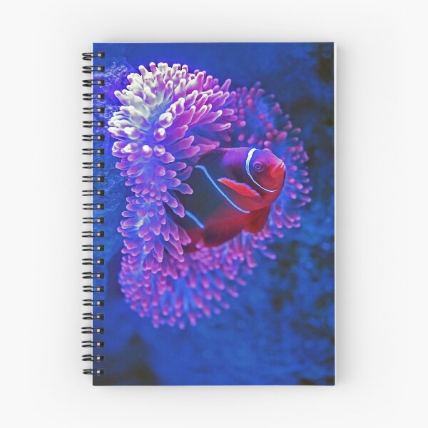 Item preview, Clown Fish designed and sold by Designermehdi.