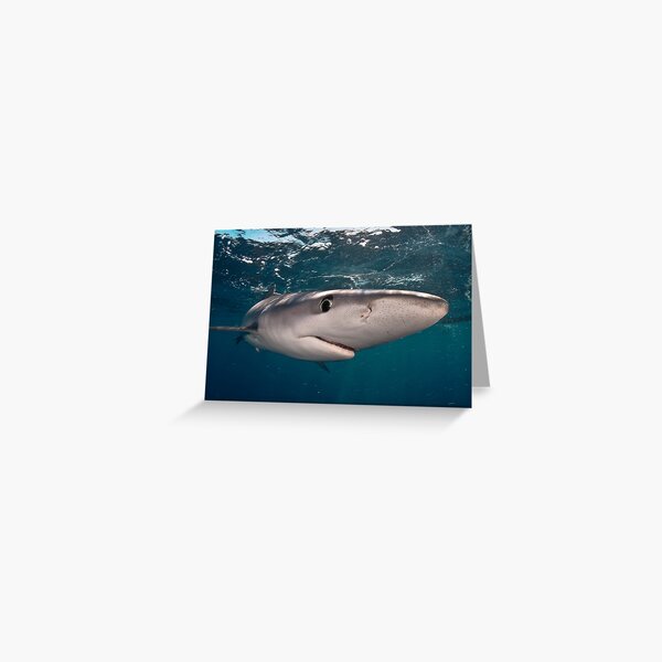 Blue Torpedo Greeting Card