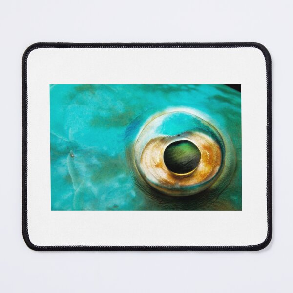 Item preview, Parrotfish eye designed and sold by CubStar62.