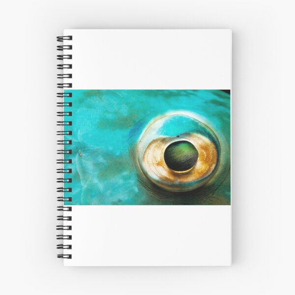 Item preview, Parrotfish eye designed and sold by CubStar62.
