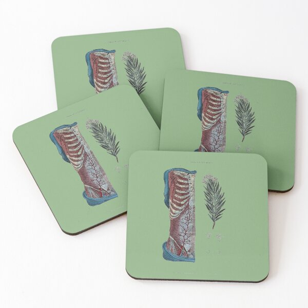 Item preview, Vintage Botanical and Anatomical Illustration designed and sold by Naturalist Prints.