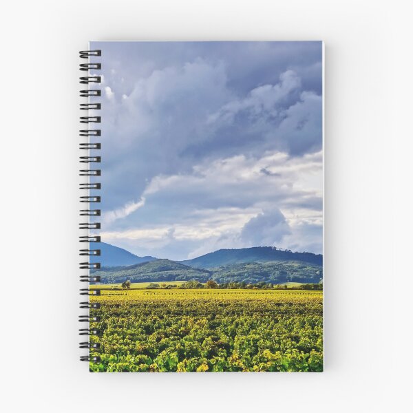 Item preview, Beautiful sunlight over vineyards with blue sky and mountains on horizon, Alsace, France designed and sold by Alexander Sorokopud.