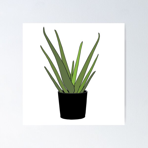 Aloe Vera Animated Icon download in JSON, LOTTIE or MP4 format