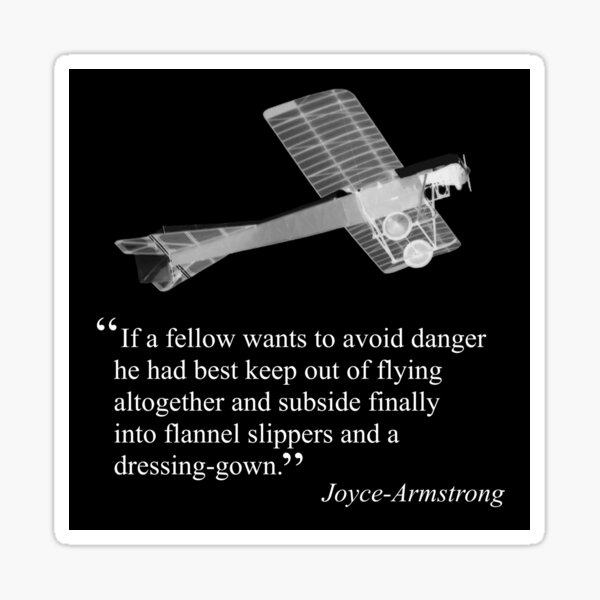 Joyce-Armstrong's advice on flying Sticker