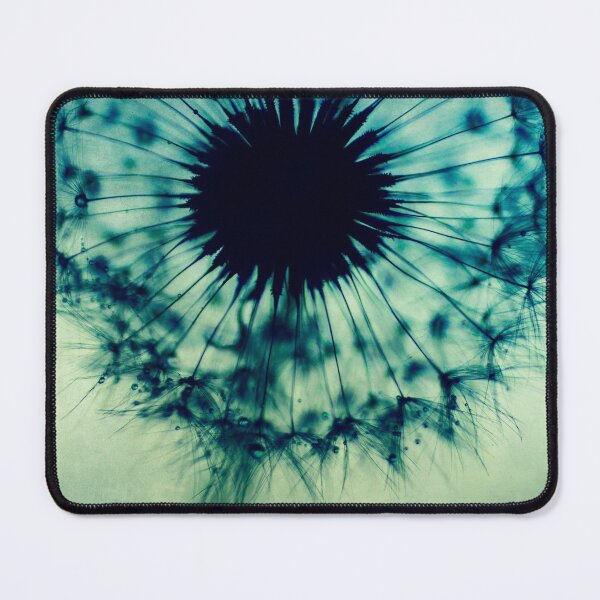 Item preview, dandelion flower - turquoise blue floral photography by Ingrid Beddoes designed and sold by Ingrid Beddoes Photography.
