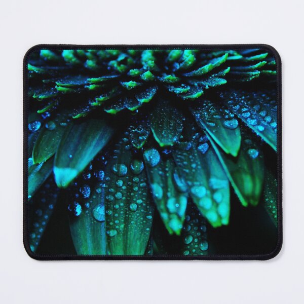 Item preview, Gerbera Daisy - Midnight Blue Flower photography by Ingrid Beddoes designed and sold by Ingrid Beddoes Photography.