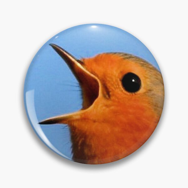 Item preview, Robin Redbreast In Song Close Up Photograph designed and sold by taiche.