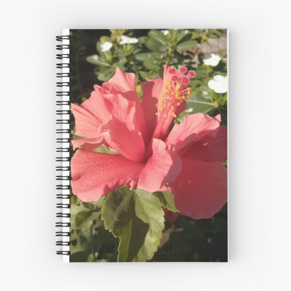 Item preview, SUN KISSED HIBISCUS. designed and sold by barasha1111.