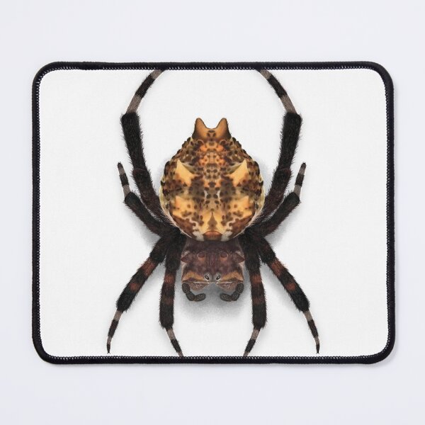 Item preview, Caerostris pero designed and sold by Franz Anthony.
