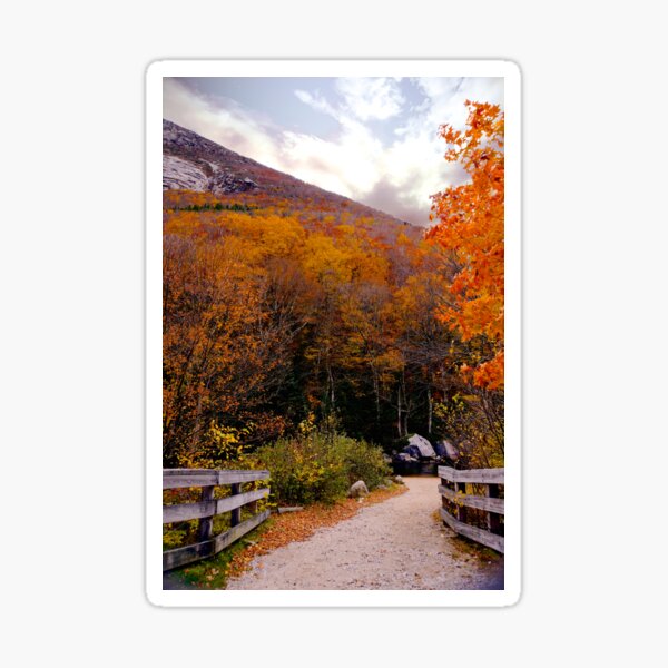 October Riot In New England Sticker
