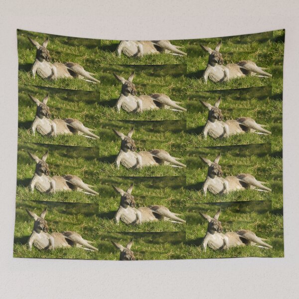 Item preview, Kanga Rude designed and sold by Randy Turnbow.