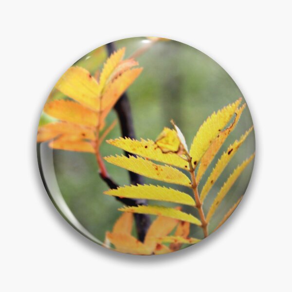 Item preview, Colored leaves designed and sold by Catharina Dahlqvist.