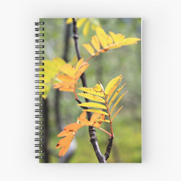 Item preview, Colored leaves designed and sold by Catharina Dahlqvist.