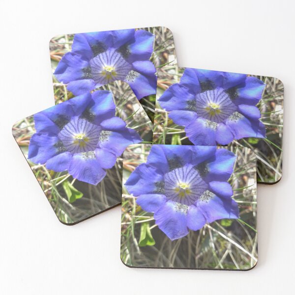 Item preview, Rare alpine mountain flower picture designed and sold by Jackforestman.