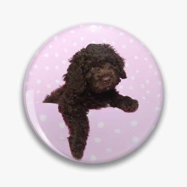 Item preview, Perro de Agua Español puppy designed and sold by JeanettesPets.