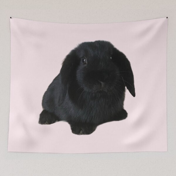 Item preview, Real Black baby bunny designed and sold by Designforoz.