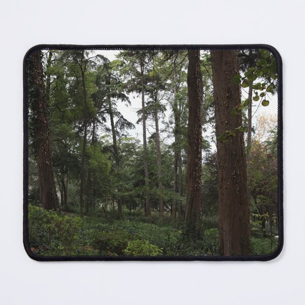 Item preview, Nature photography, Portugal designed and sold by SandraC-Duarte.