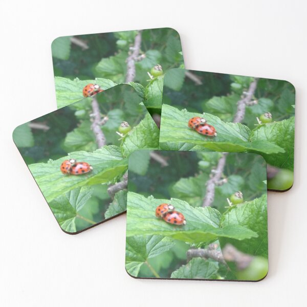 Item preview, Ladybugs reproducing on raspberry leaf designed and sold by Jackforestman.