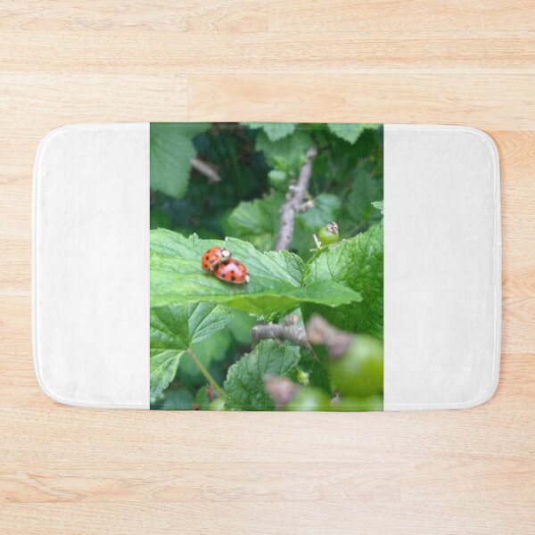 Item preview, Ladybugs reproducing on raspberry leaf designed and sold by Jackforestman.