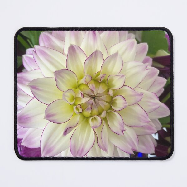 Item preview, White ranunkel designed and sold by elaine-gregers.
