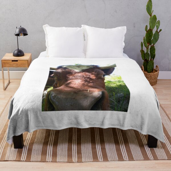Item preview, Close-up face to face picture with rare breed of swiss cow. designed and sold by Jackforestman.