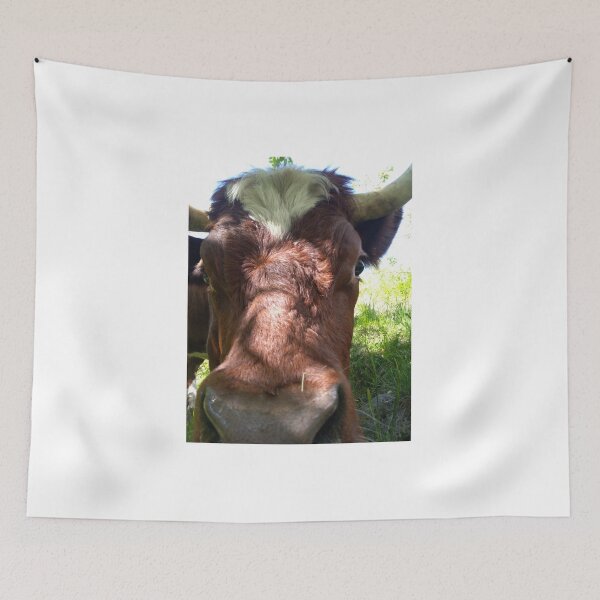 Item preview, Close-up face to face picture with rare breed of swiss cow. designed and sold by Jackforestman.