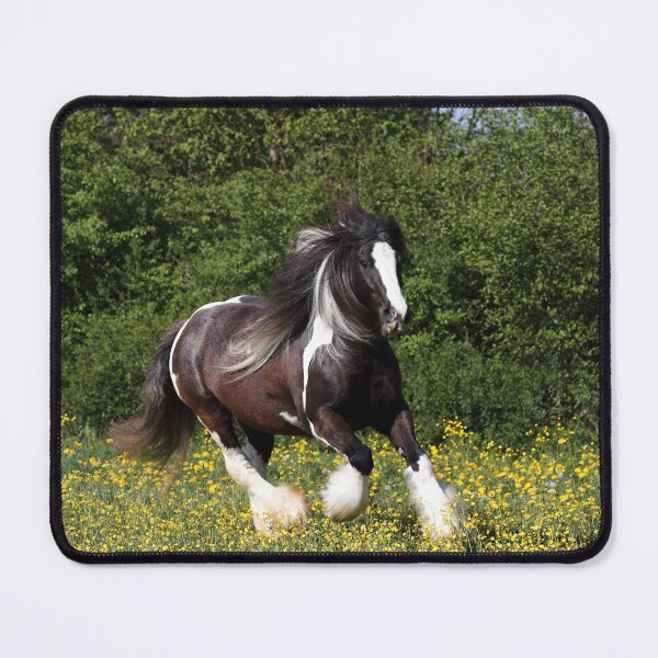 Item preview, Irish tinker designed and sold by JeanettesPets.
