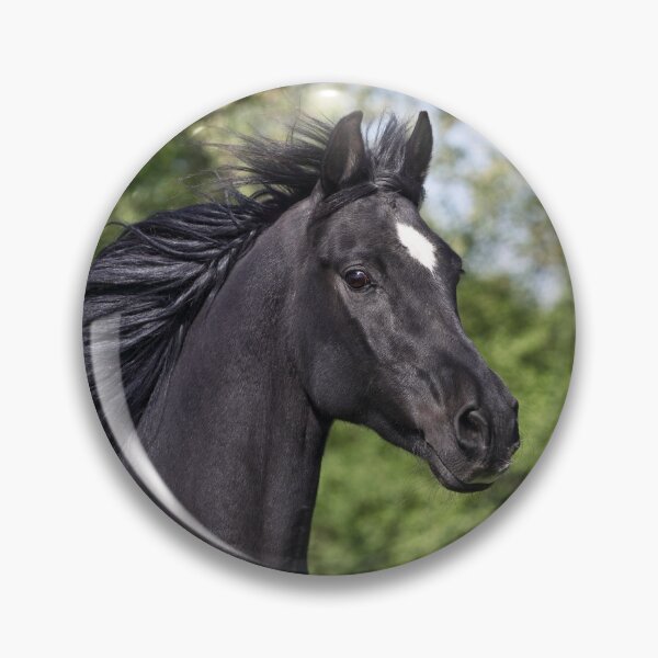 Item preview, Arabs designed and sold by JeanettesPets.