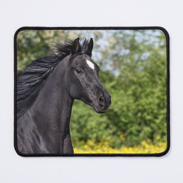 Item preview, Arabs designed and sold by JeanettesPets.