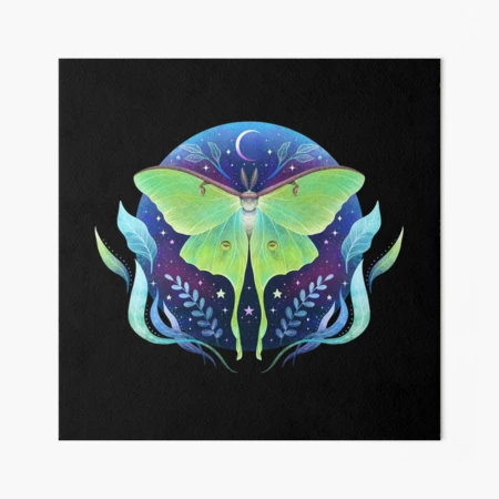 Luna moth moon witches design