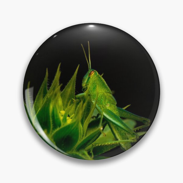 Item preview, Sunflower Hopper designed and sold by alabca.