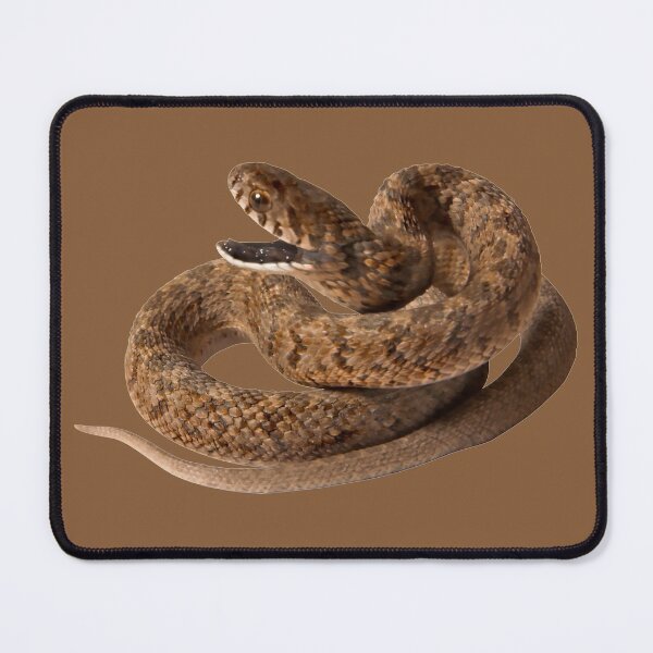 Item preview, A Toothless Snake Wants To Bite designed and sold by Phantasmal-2-do.