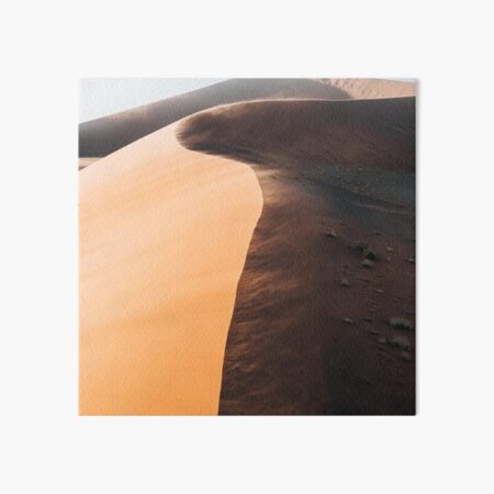 Namibia Art Board Print