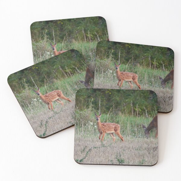 Item preview, Wait whose there. White-tailed deer designed and sold by Jouko Lehto Photography.
