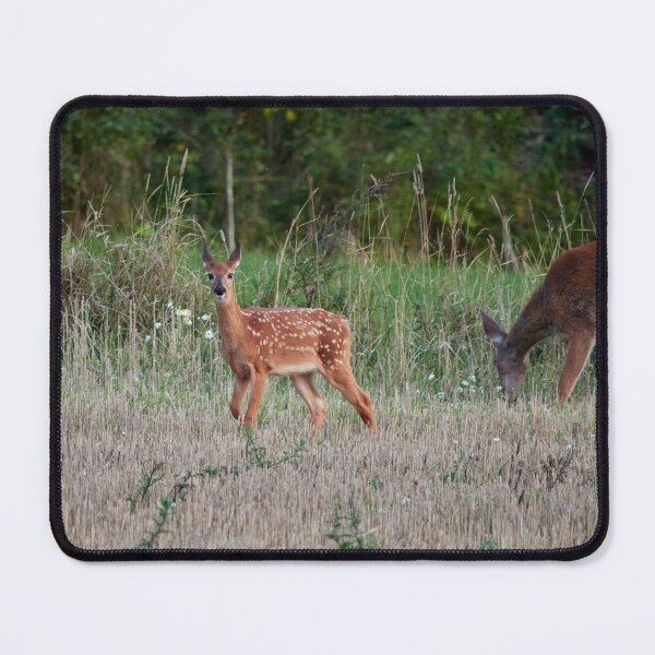 Item preview, Wait whose there. White-tailed deer designed and sold by Jouko Lehto Photography.