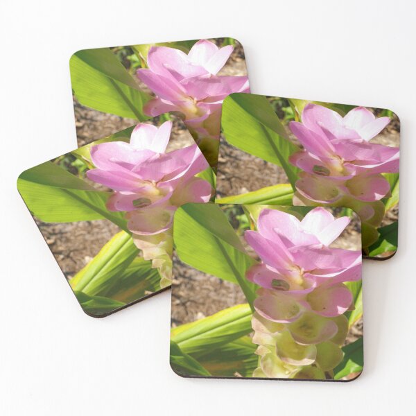 Item preview, frog in a ginger lily designed and sold by AlmostReady.
