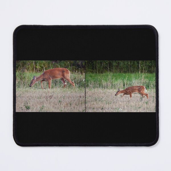 Item preview, Like mother like child. White-tailed deer designed and sold by Jouko Lehto Photography.