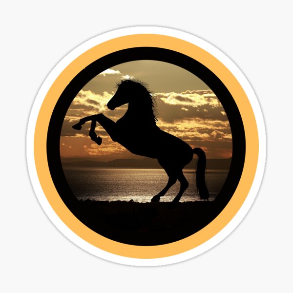 Horse Love, Equestrian, Equine, Everything Horses Sticker