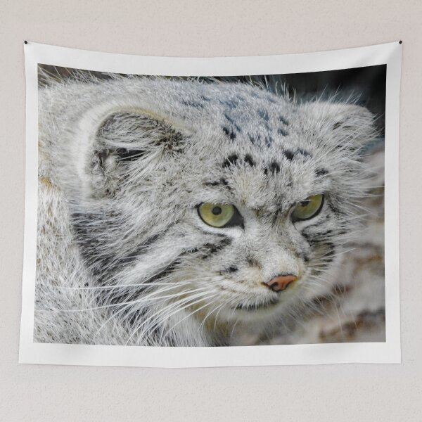 Item preview, A Wonderful Pallas Cat designed and sold by Karen Thomson.