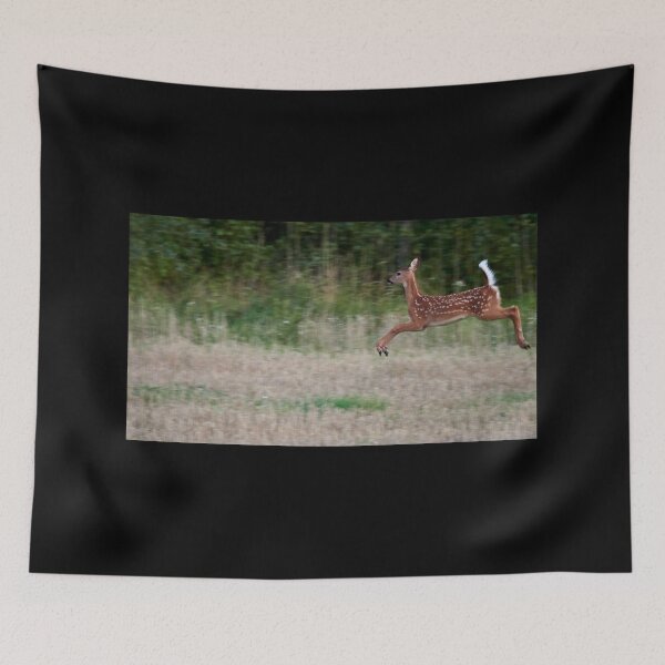 Item preview, Jump and fly. White-tailed deer designed and sold by Jouko Lehto Photography.