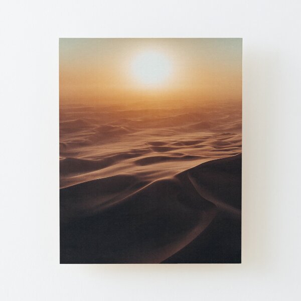 Skeleton Coast Wood Mounted Print
