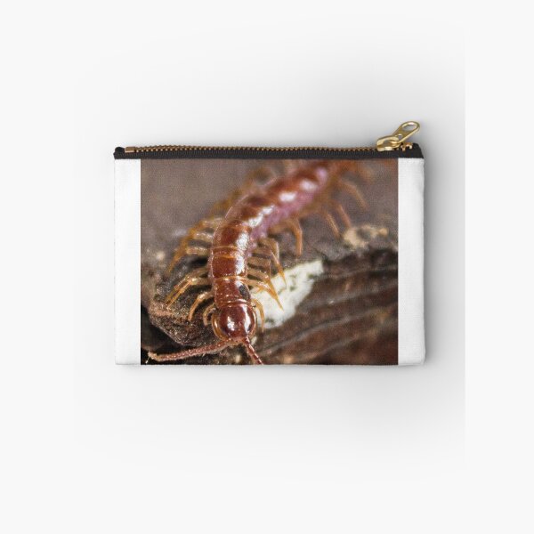 Item preview, Centipede designed and sold by Elysian Photography.